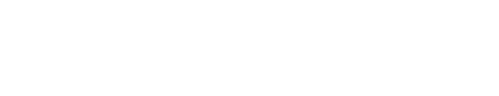 Logo OVG BSM